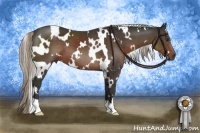Horse Color:White Spotted Liver Chestnut 