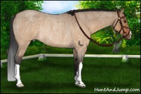 Horse Color:Brown Roan Dun Rabicano 