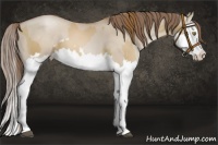 Horse Color:Liver Red Dun Pearl Splash and Grullo Pearl Splash