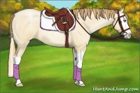 Horse Color:Gold Champagne Roan Pearl Dun Splash