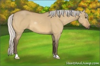 Horse Color:Silver Buckskin Dun 