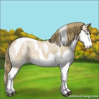 Horse Color:Chestnut Ice Sabino Splash Tobiano Varnish 