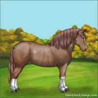 Horse Color:Painted Chestnut Varnish Rabicano