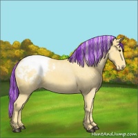 Horse Color:Painted Palomino Varnish 