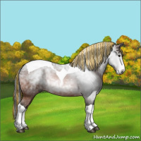 Horse Color:Gray Painted Bay Tobiano Varnish 