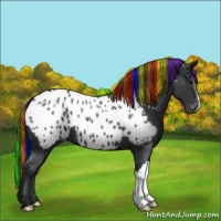 Horse Color:Painted Black Near Leopard 