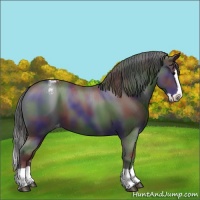 Horse Color:Nacre Black Splash Varnish 