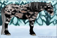 Horse Color:Bay Ice Sabino Splash Appaloosa 