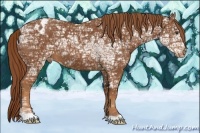 Horse Color:Chestnut Ice Blanket 