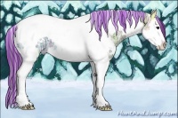 Horse Color:Painted White Spotted Smoky Black Ice Splash Tobiano Blanket 