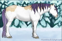 Horse Color:Painted Bay Ice Dun Splash 