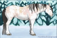 Horse Color:White Spotted Bay Ice Dun Splash 