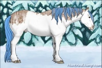 Horse Color:Painted Chestnut Ice Sabino Splash 