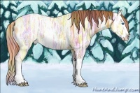 Horse Color:Nacre Red Dun Ice Sabino Splash 