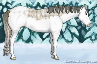 Horse Color:Plaid  Buckskin Ice Sabino Splash Varnish 