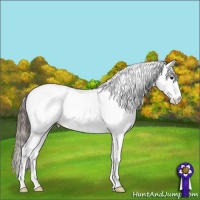Horse Color:White Spotted Buckskin Ice Splash Tobiano Appaloosa 