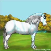 Horse Color:Thunderstruck Bay Sabino Splash Tobiano Snowcap 