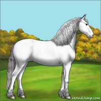 Horse Color:Grullo Ice Splash Tobiano Snowcap