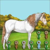Horse Color:Plaid Smoky Black Ice Pearl Sabino Tobiano Appaloosa
