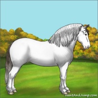 Horse Color:Smoky Grullo Ice Sabino Splash Tobiano Appaloosa 