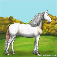Horse Color:Buckskin Ice Pearl Dun Splash Tobiano Blanket