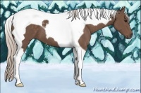 Horse Color:Silver Black Tobiano