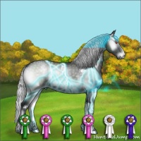Horse Color:Thunderstruck White Spotted Silver Blue Onyx Chinchilla Sabino Rabicano
