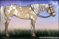 Horse Color:White Spotted Chocolate Silver Buckskin Dun 