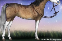Horse Color:Brown Dun Splash 