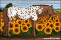 Horse Color:Chestnut Blanket 