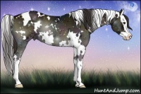 Horse Color:White Spotted Midnight Liver Red Onyx Sabino Splash 