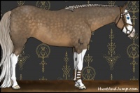 Horse Color:Chocolate Palomino Splash 