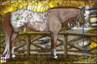 Horse Color:Red Roan Splash Varnish 