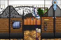 Horse Color:Black Near Leopard 