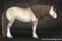 Horse Color:Blue Onyx Pearl Rabicano 