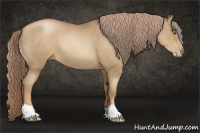 Horse Color:Liver Chestnut Pearl