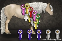 Horse Color:Liver Chestnut Pearl Rabicano