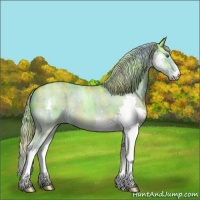 Horse Color:Nacre Plaid Chocolate Palomino Roan Dun Splash