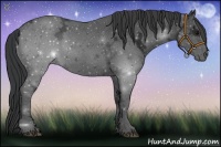 Horse Color:Black Ice 