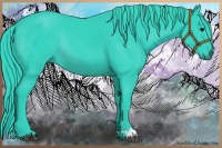 Horse Color:Watercolor Black Rabicano 