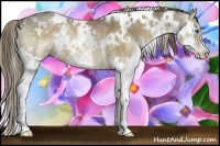 Horse Color:White Spotted Liver Chestnut Splash Rabicano