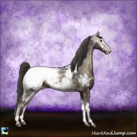 Horse Color:Smoky Blue Onyx Ice Appaloosa Rabicano 