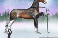 Horse Color:Brown Sabino Appaloosa 