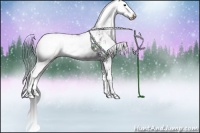 Horse Color:Black Sabino Appaloosa Rabicano