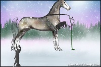 Horse Color:Blue Onyx Sabino Appaloosa Rabicano 