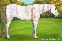 Horse Color:Painted Chocolate Buckskin Ice 