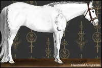 Horse Color:Black Sabino Varnish 
