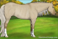 Horse Color:Silver Smoky Grullo Roan Rabicano 