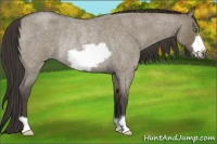 Horse Color:Smoky Grullo Roan Frame Rabicano 