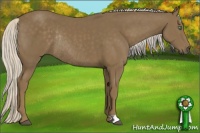 Horse Color:Silver Smoky Black Rabicano 